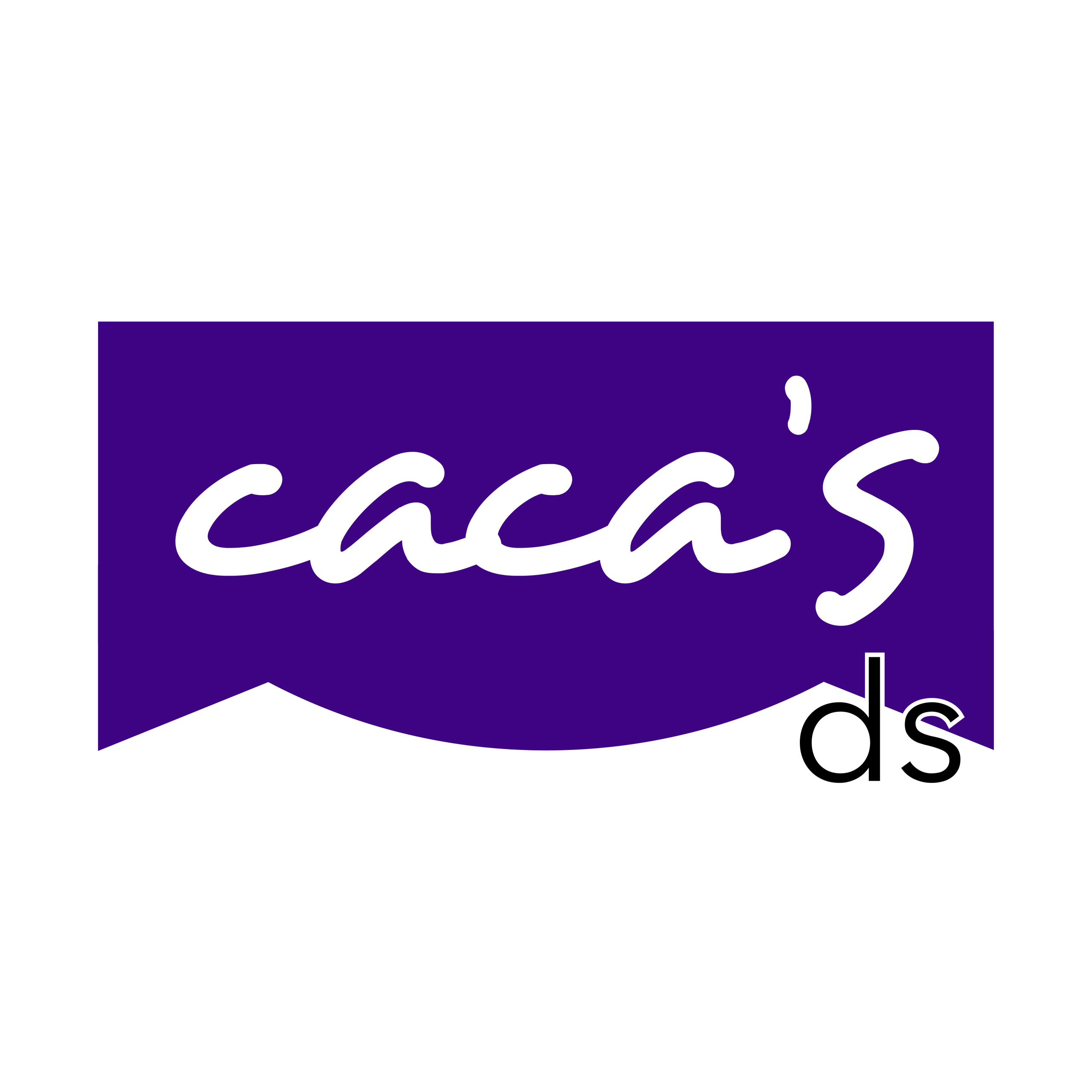 New logo ds-01